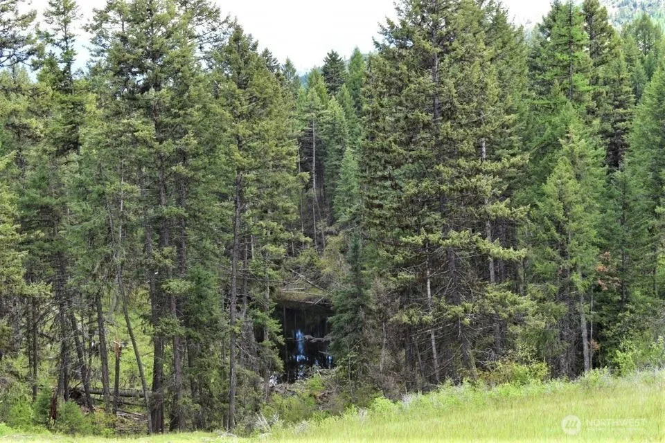 181 New Hope Drive Malo, WA 99150