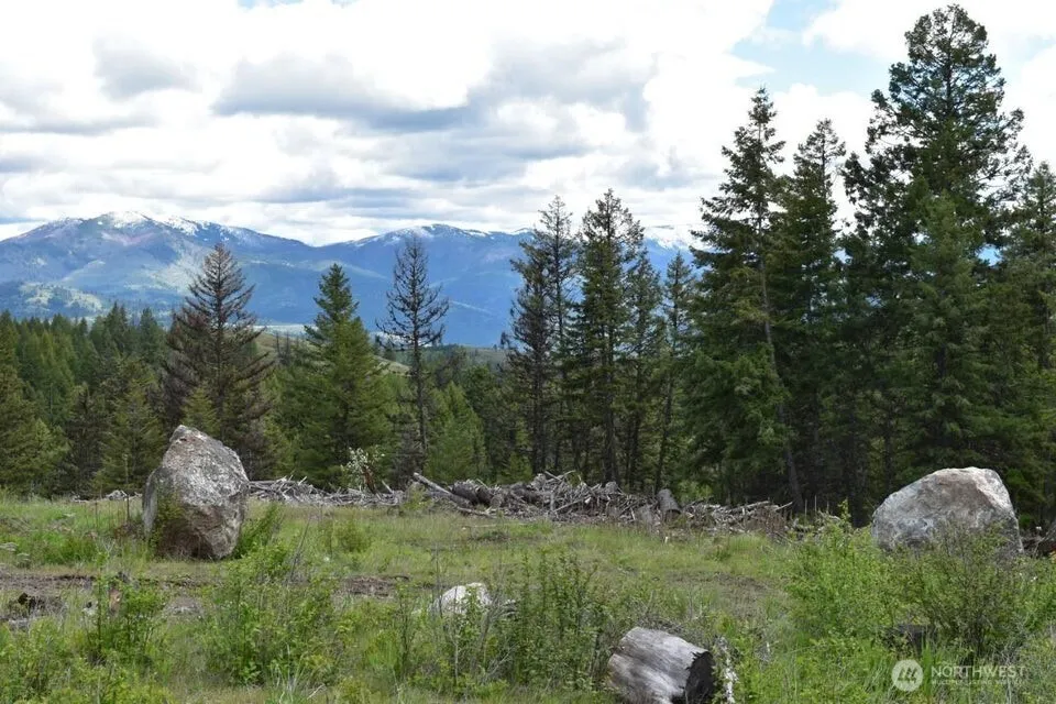 181 New Hope Drive Malo, WA 99150