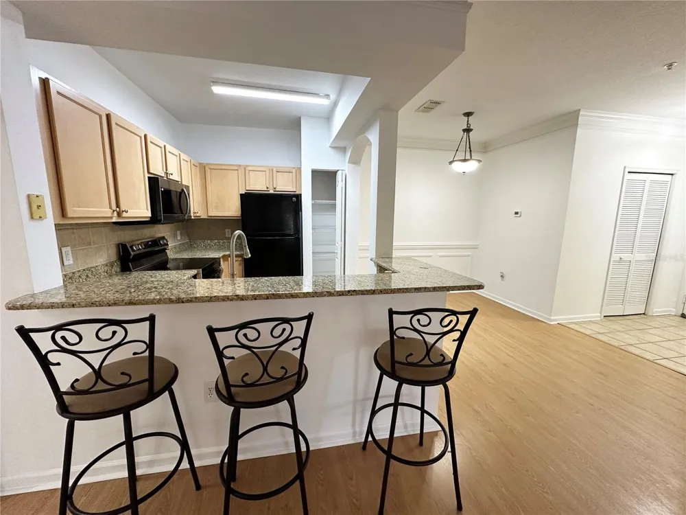 12843 MADISON POINTE CIRCLE E #201 Orlando, FL 32821
