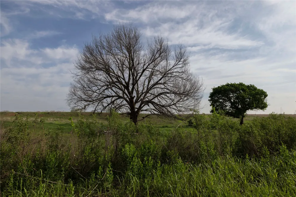 42 E 4500 ROAD Pawnee, OK 73061