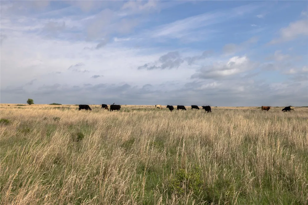 42 E 4500 ROAD Pawnee, OK 73061