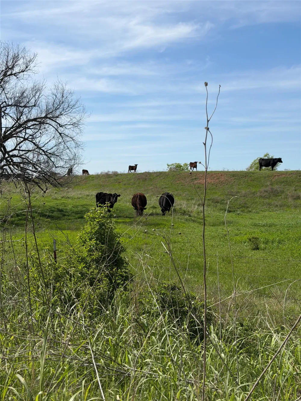 42 E 4500 ROAD Pawnee, OK 73061