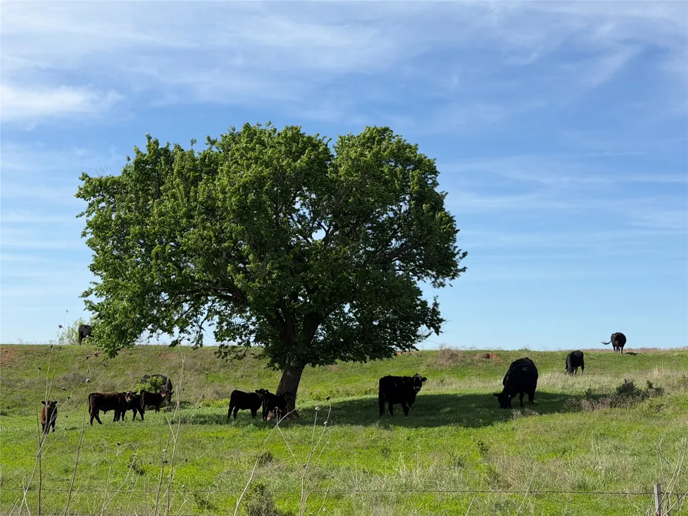 42 E 4500 ROAD Pawnee, OK 73061