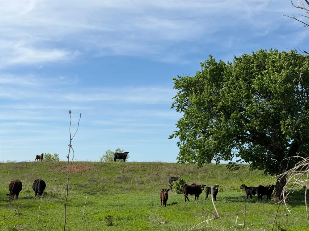 42 E 4500 ROAD Pawnee, OK 73061