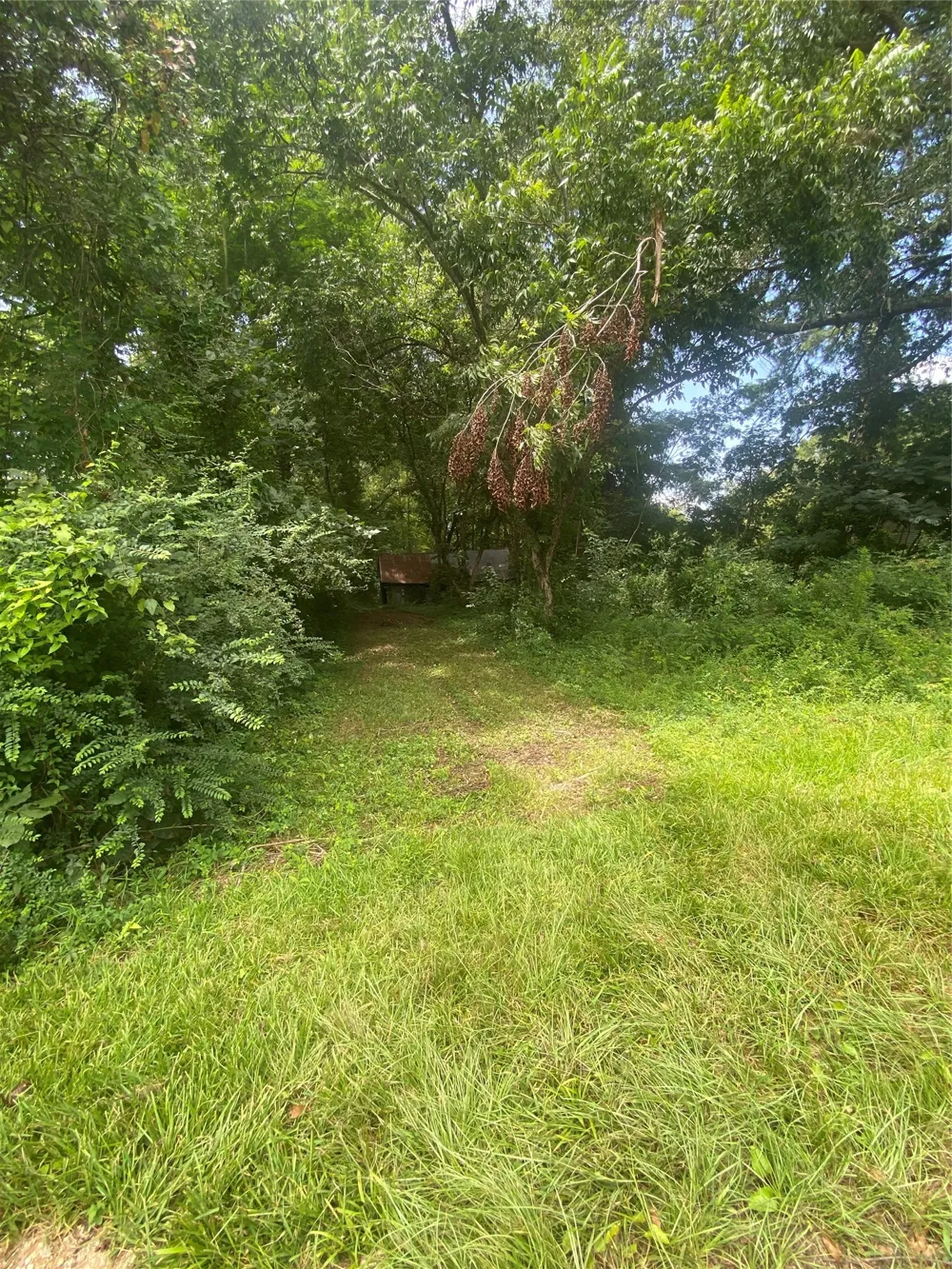 140 Bellview Road Ringgold, LA 71068