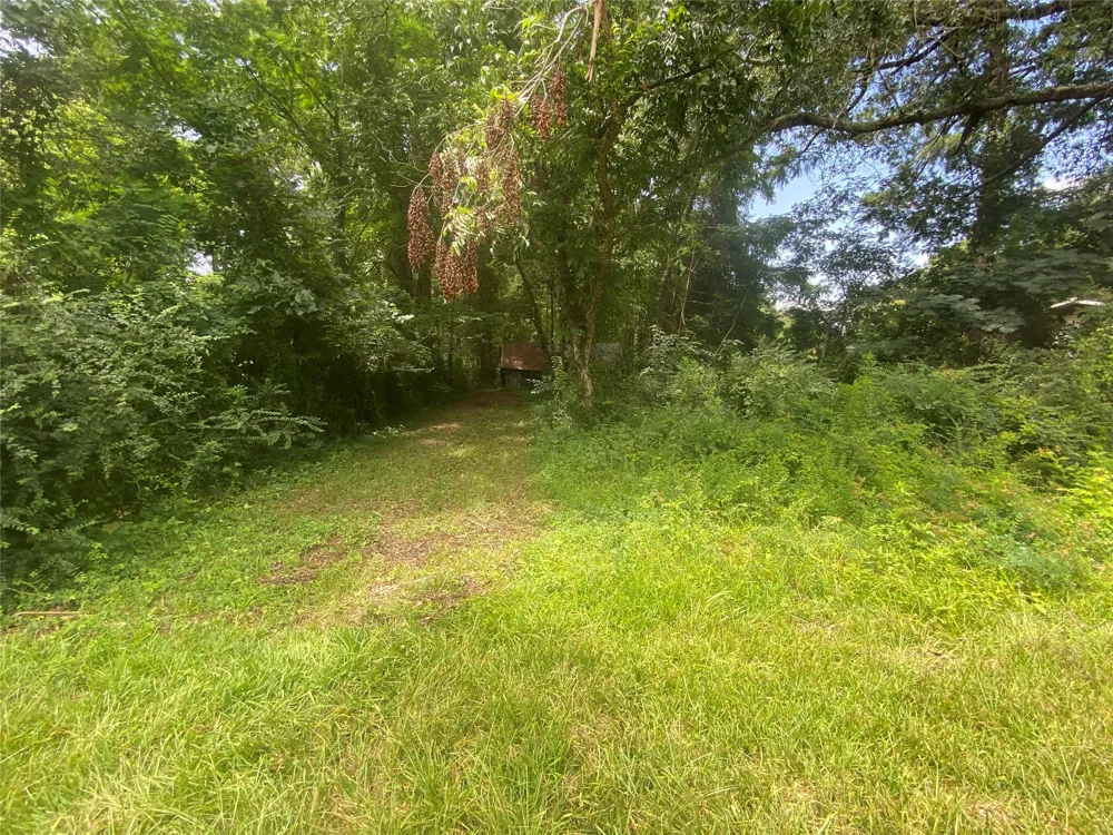 140 Bellview Road Ringgold, LA 71068