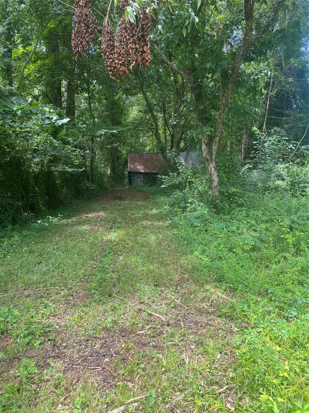 140 Bellview Road Ringgold, LA 71068