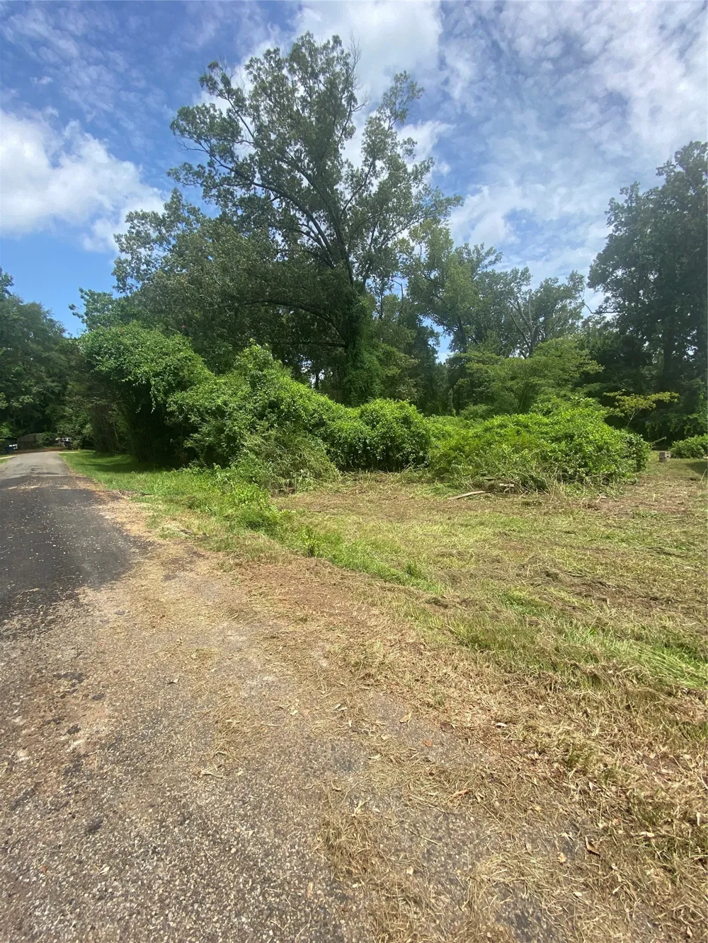 140 Bellview Road Ringgold, LA 71068