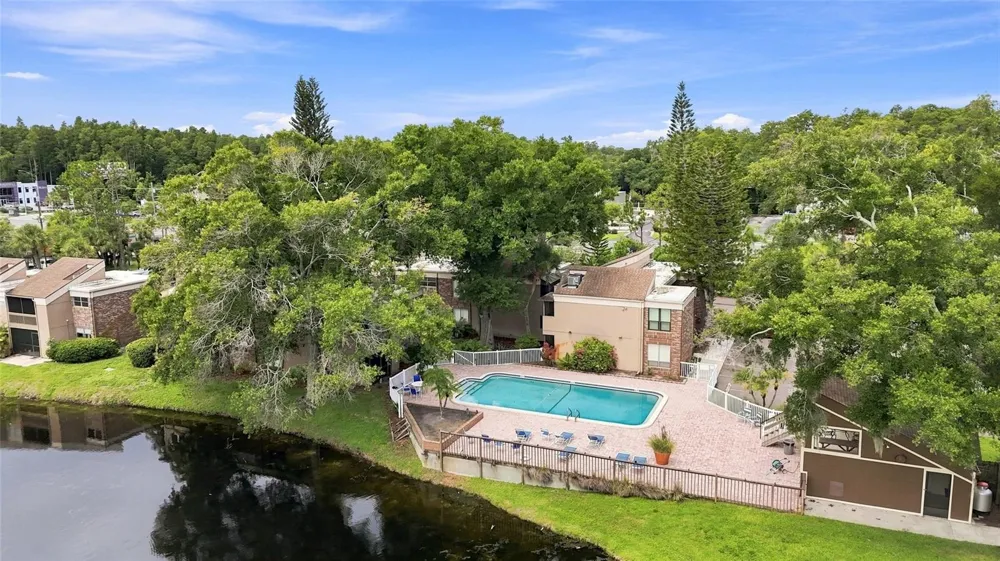 10415 CARROLLBROOK CIRCLE #207 Tampa, FL 33618