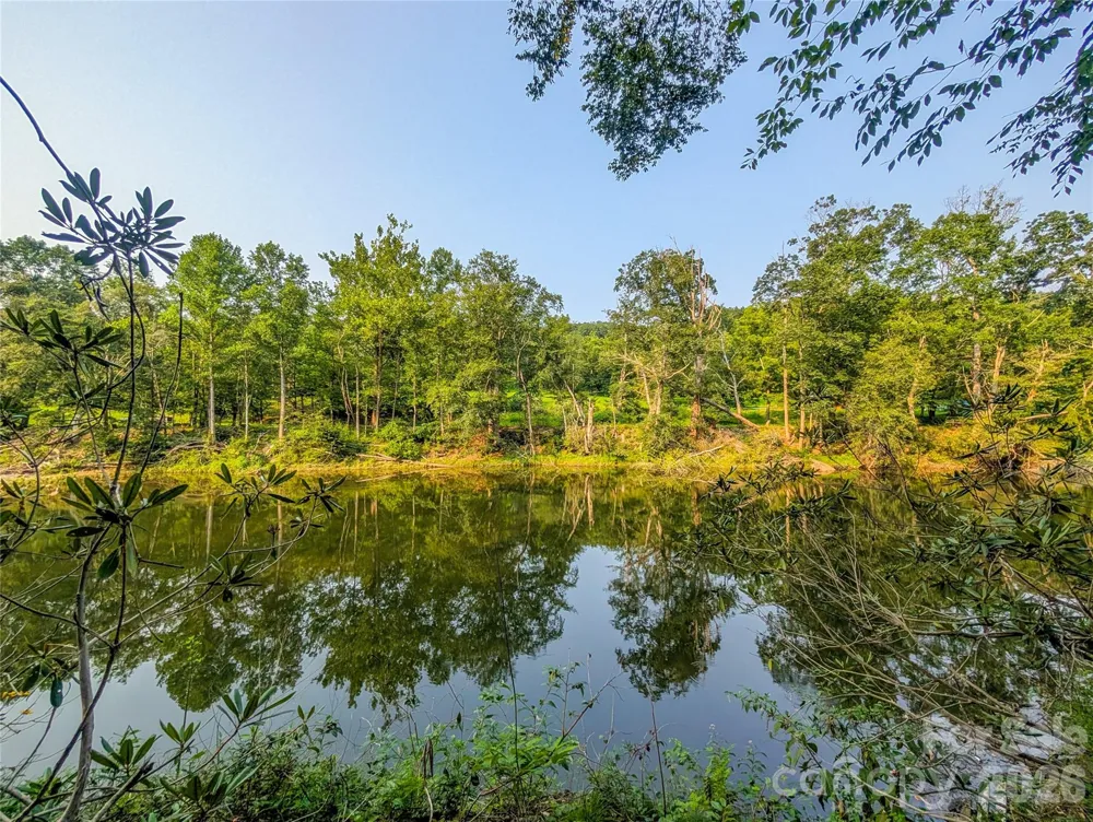 328 Wooded Valley Lane Burnsville, NC 28714