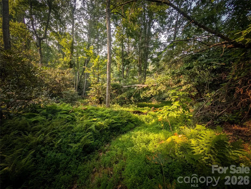 328 Wooded Valley Lane Burnsville, NC 28714