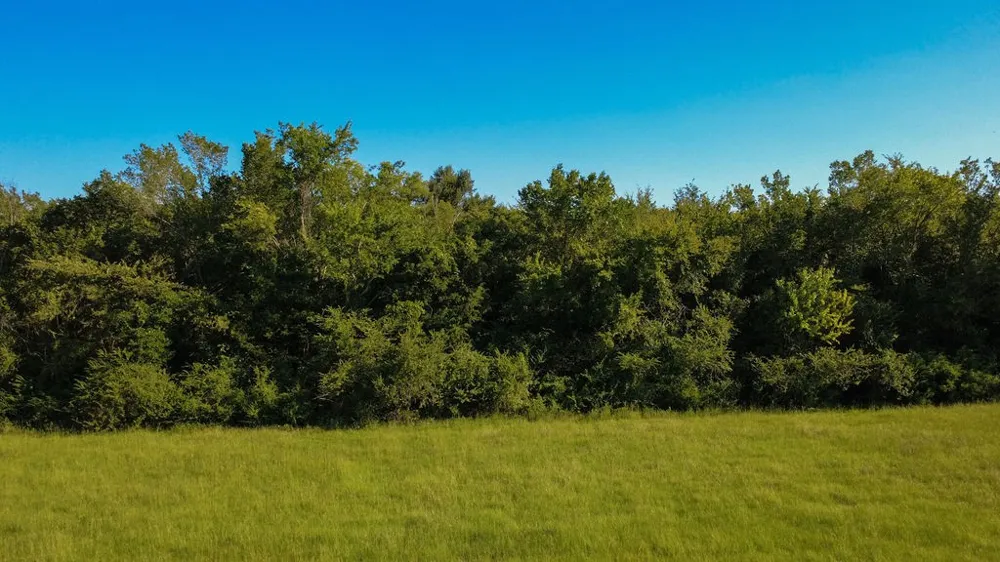 S Broadway Street Sulphur Springs, TX 75482