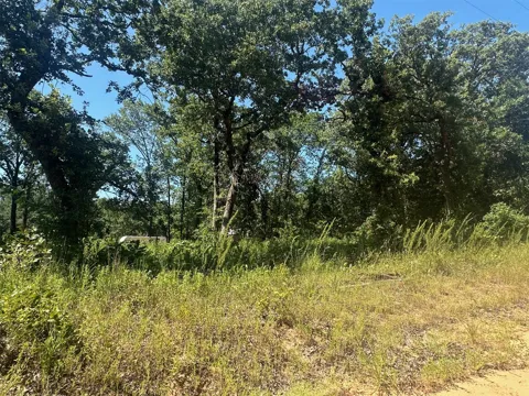 1 Driftwood Road