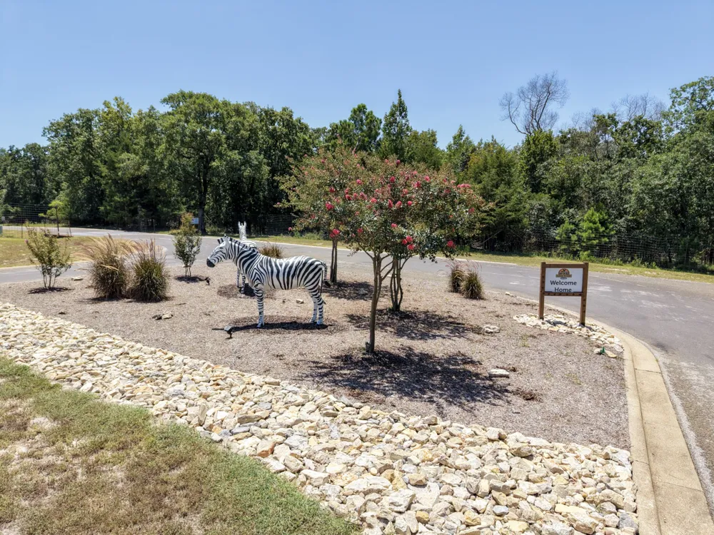 9236 Safari Bluff Larue, TX 75770