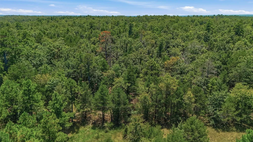 1 E 1930 ROAD Antlers, OK 74523