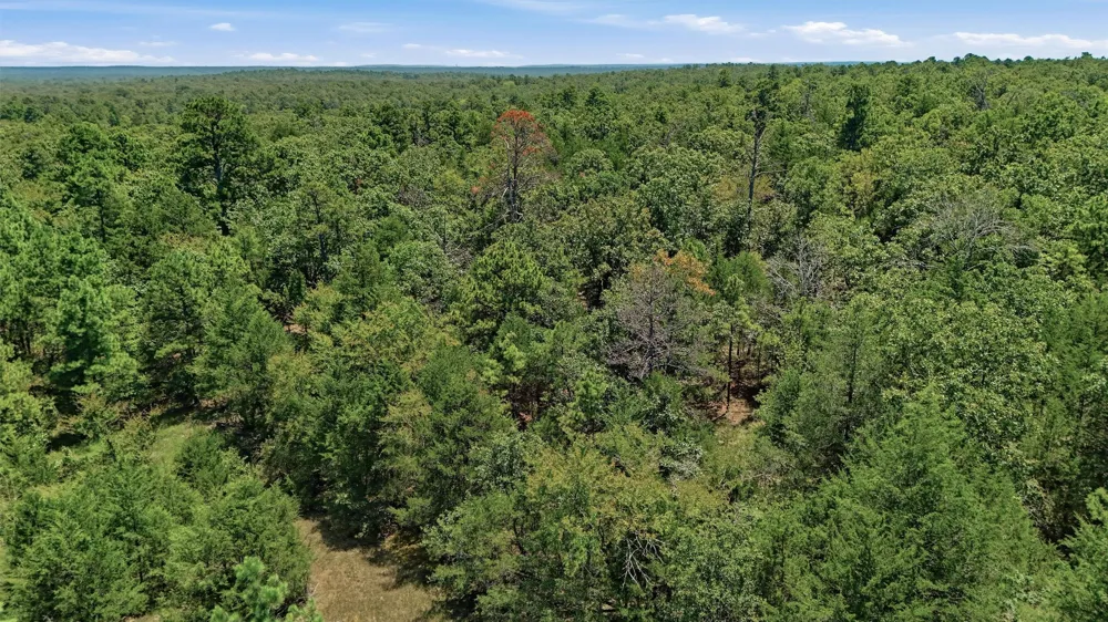 1 E 1930 ROAD Antlers, OK 74523