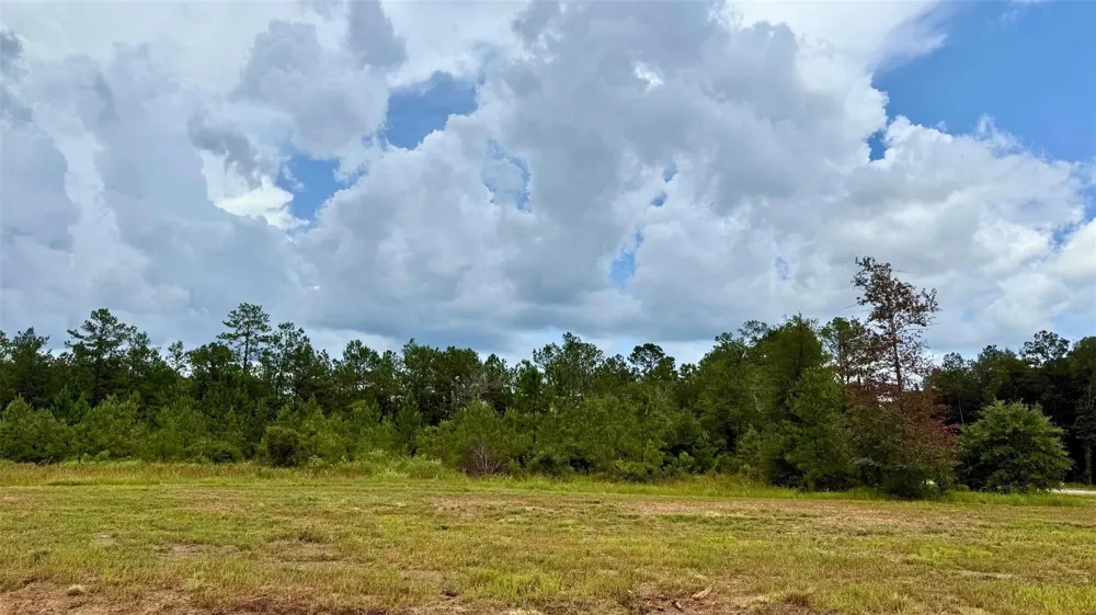 13190 Blackberry Drive Lumberton, TX 77657
