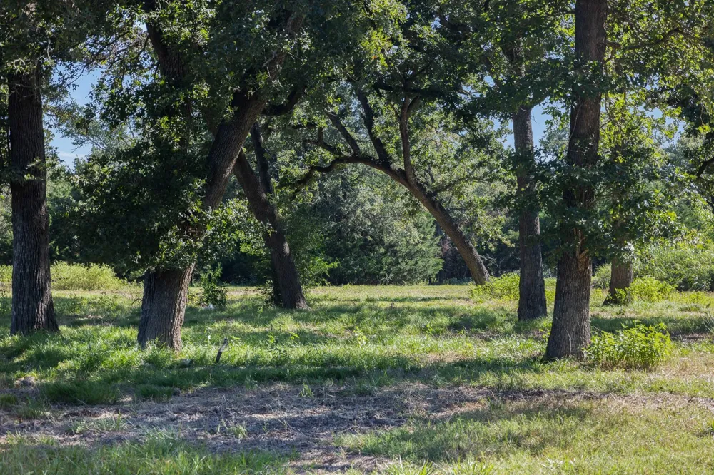 6388 Hurta Lane Bryan, TX 77808