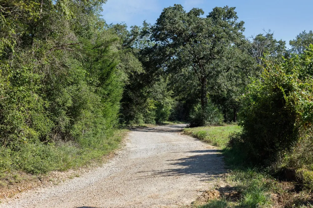 6388 Hurta Lane Bryan, TX 77808
