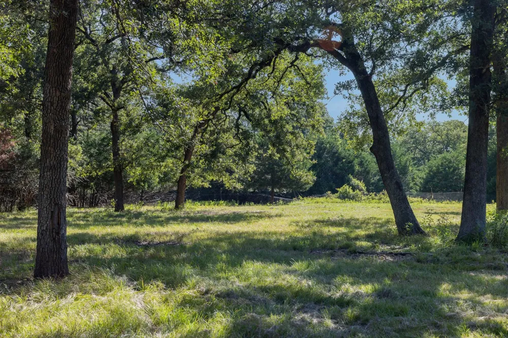 6388 Hurta Lane Bryan, TX 77808
