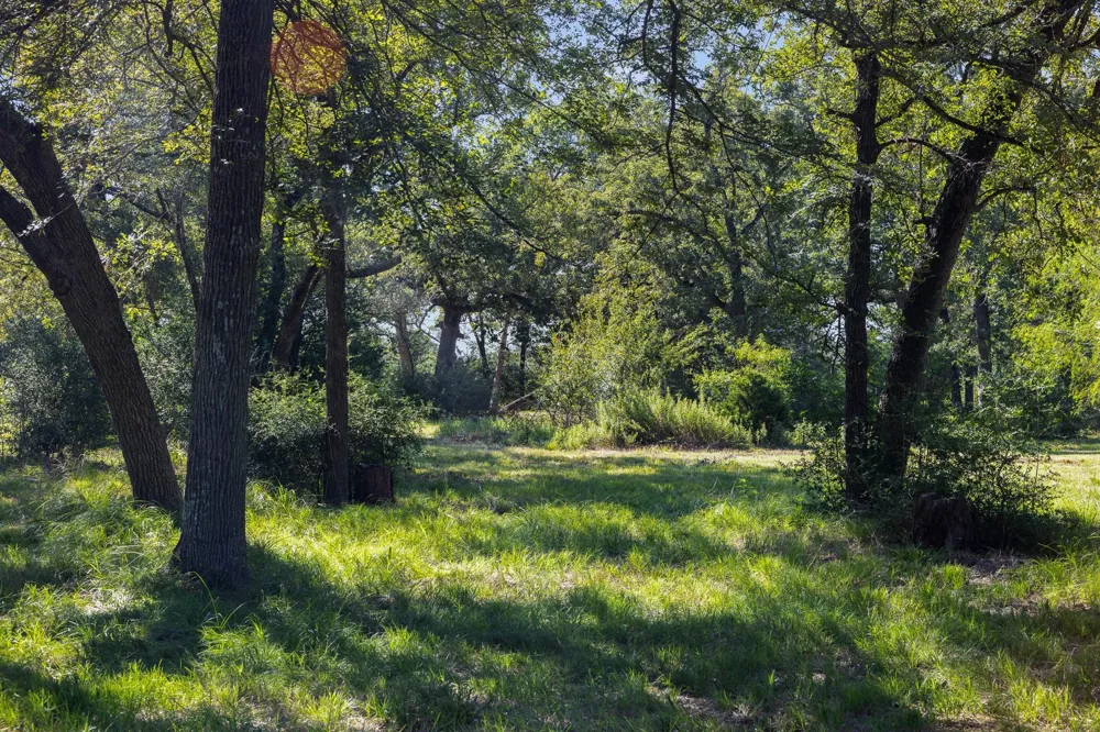 6388 Hurta Lane Bryan, TX 77808