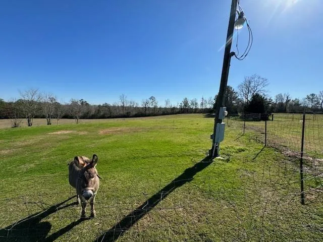 2606 Hwy 87 Newton, TX 75966