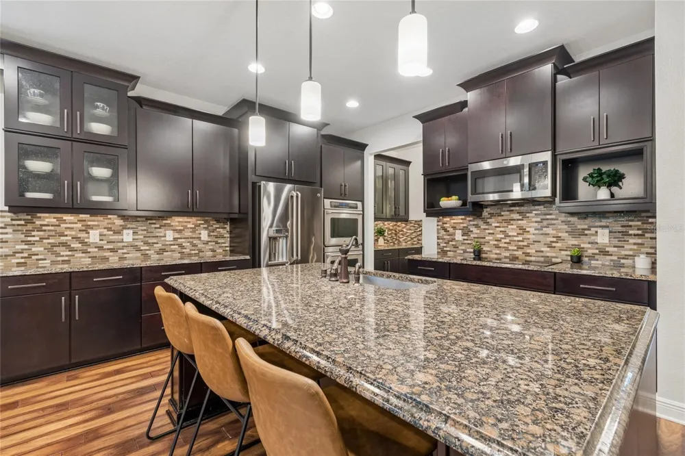 1657 FEATHER GRASS LOOP Lutz, FL 33558