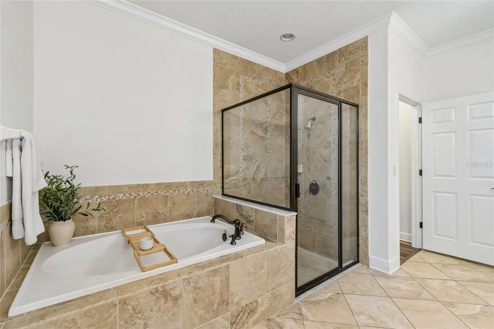 1657 FEATHER GRASS LOOP Lutz, FL 33558