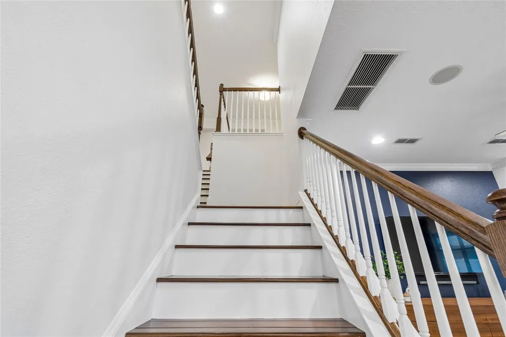 1657 FEATHER GRASS LOOP Lutz, FL 33558