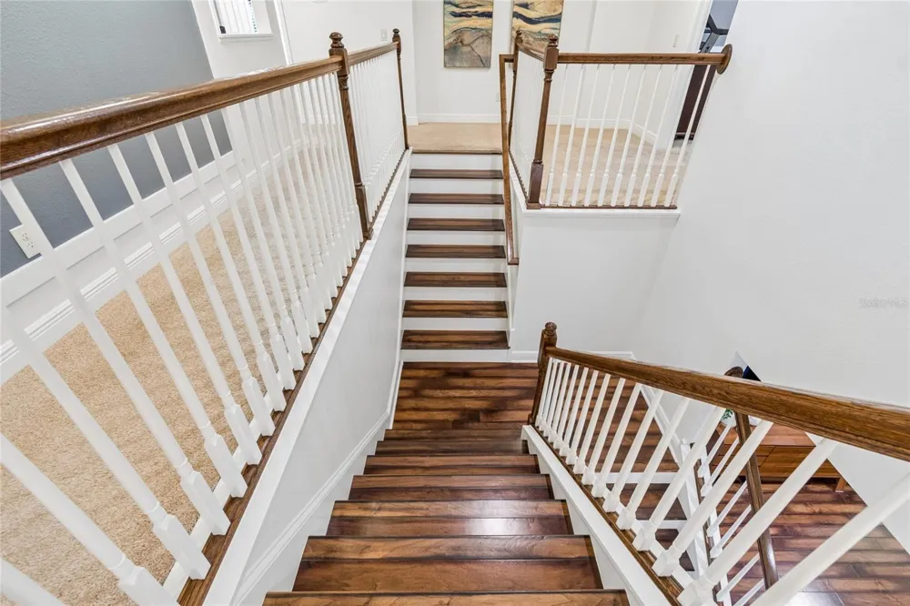 1657 FEATHER GRASS LOOP Lutz, FL 33558