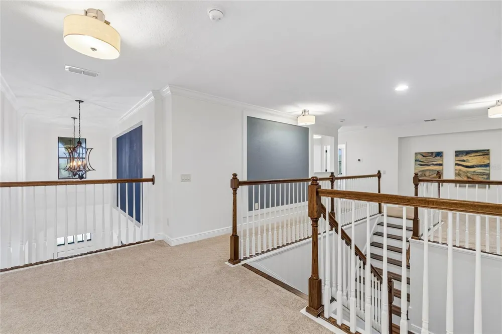 1657 FEATHER GRASS LOOP Lutz, FL 33558