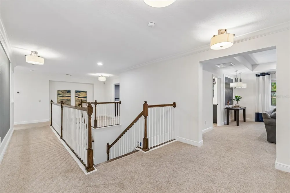 1657 FEATHER GRASS LOOP Lutz, FL 33558