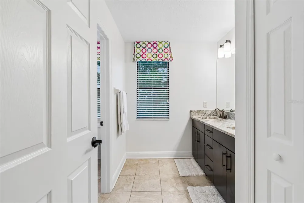 1657 FEATHER GRASS LOOP Lutz, FL 33558
