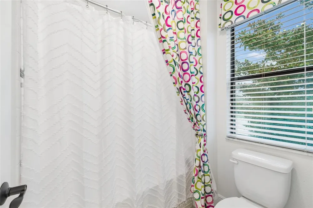 1657 FEATHER GRASS LOOP Lutz, FL 33558