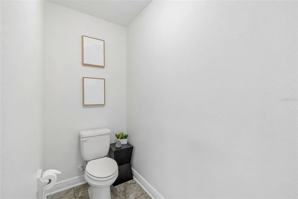 1657 FEATHER GRASS LOOP Lutz, FL 33558