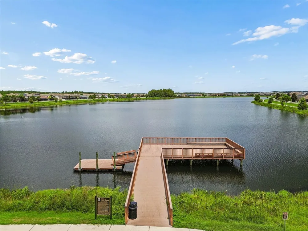 1657 FEATHER GRASS LOOP Lutz, FL 33558