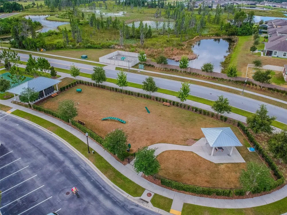 1657 FEATHER GRASS LOOP Lutz, FL 33558