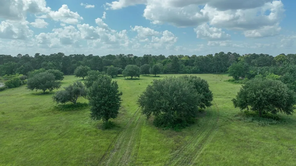 Post Oak Run Magnolia, TX 77355