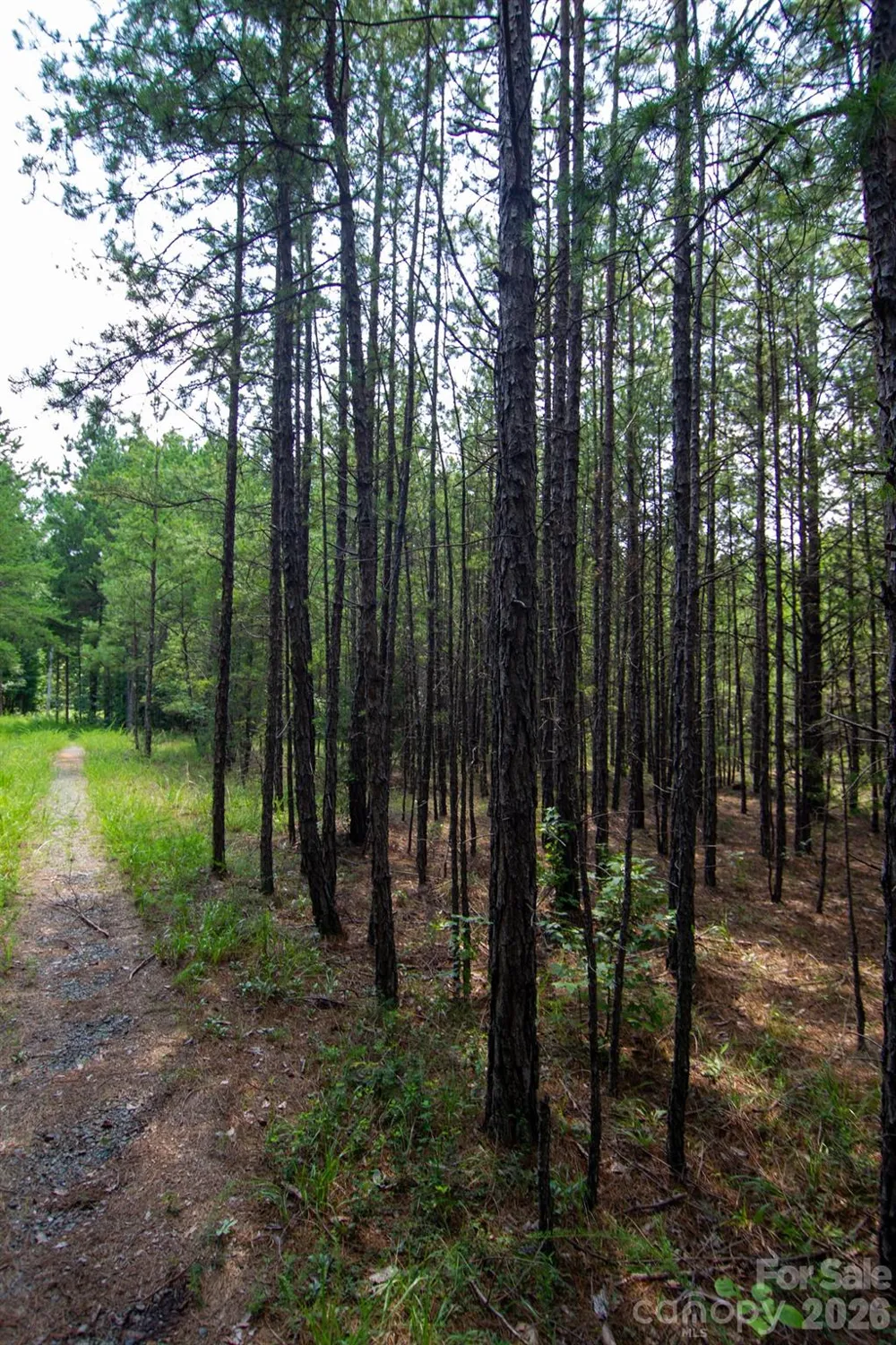 2682 Cold Springs Road Concord, NC 28025