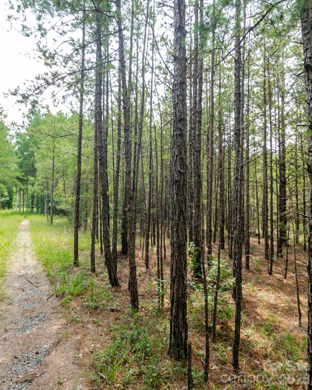 2682 Cold Springs Road Concord, NC 28025
