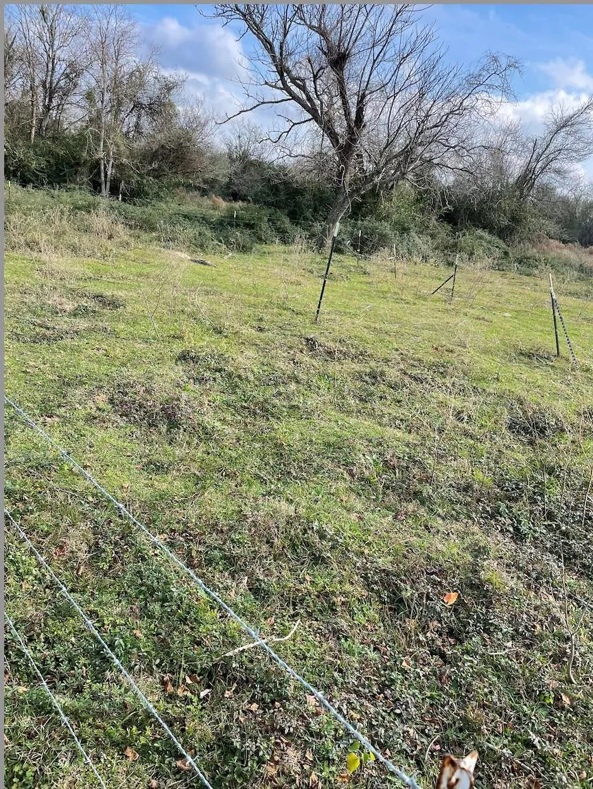 831 Stockold Road Sealy, TX 77474