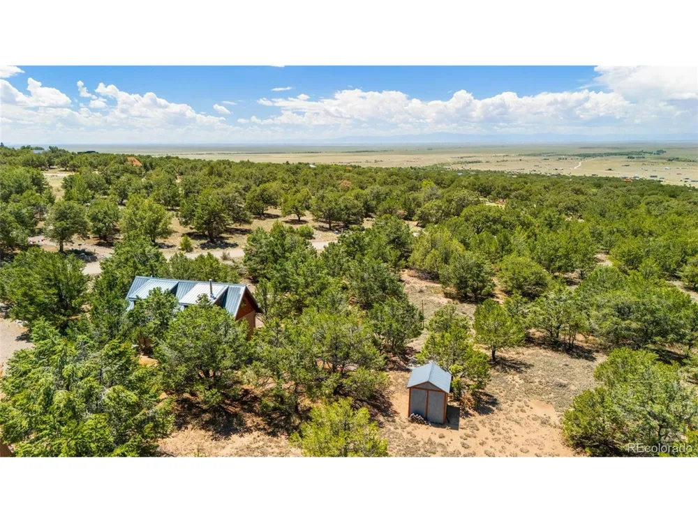 4288 Fallen Tree Crestone, CO 81131