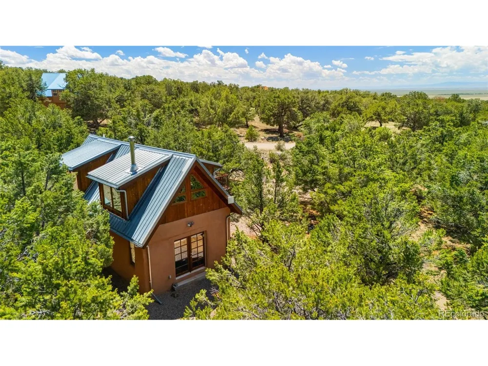 4288 Fallen Tree Crestone, CO 81131