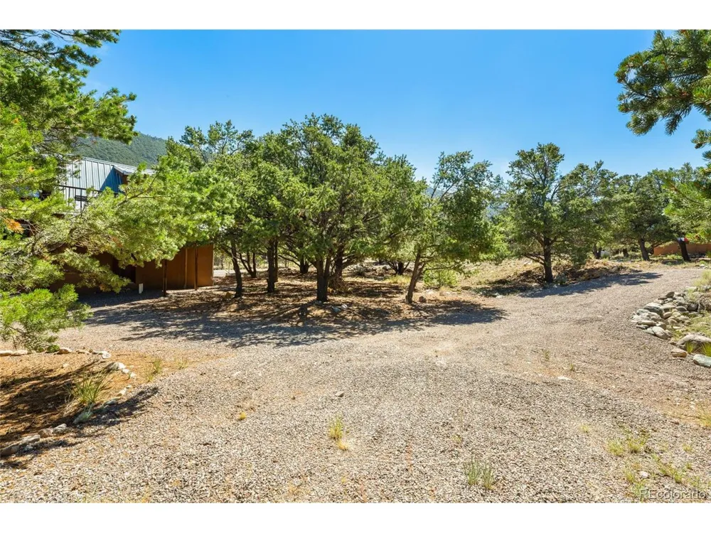 4288 Fallen Tree Crestone, CO 81131