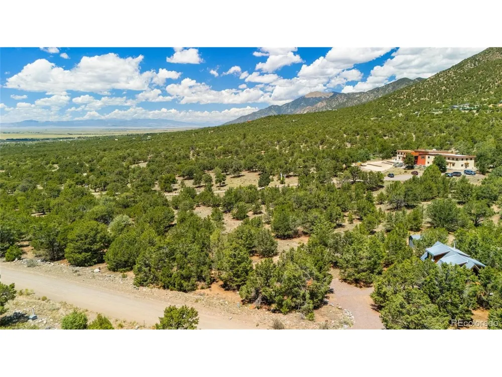 4288 Fallen Tree Crestone, CO 81131