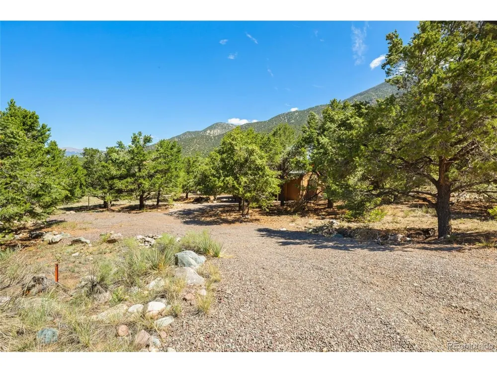 4288 Fallen Tree Crestone, CO 81131