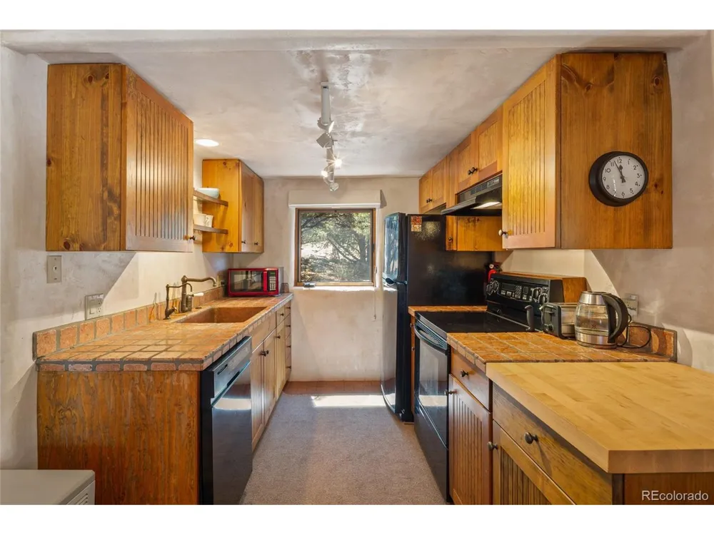 4288 Fallen Tree Crestone, CO 81131
