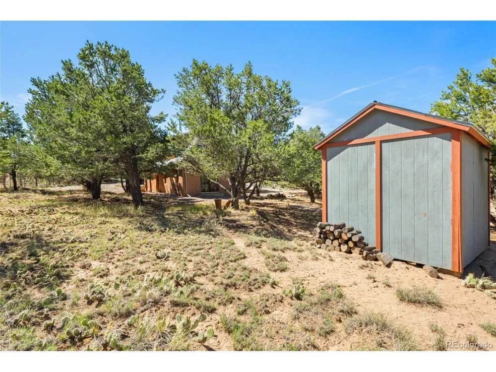4288 Fallen Tree Crestone, CO 81131