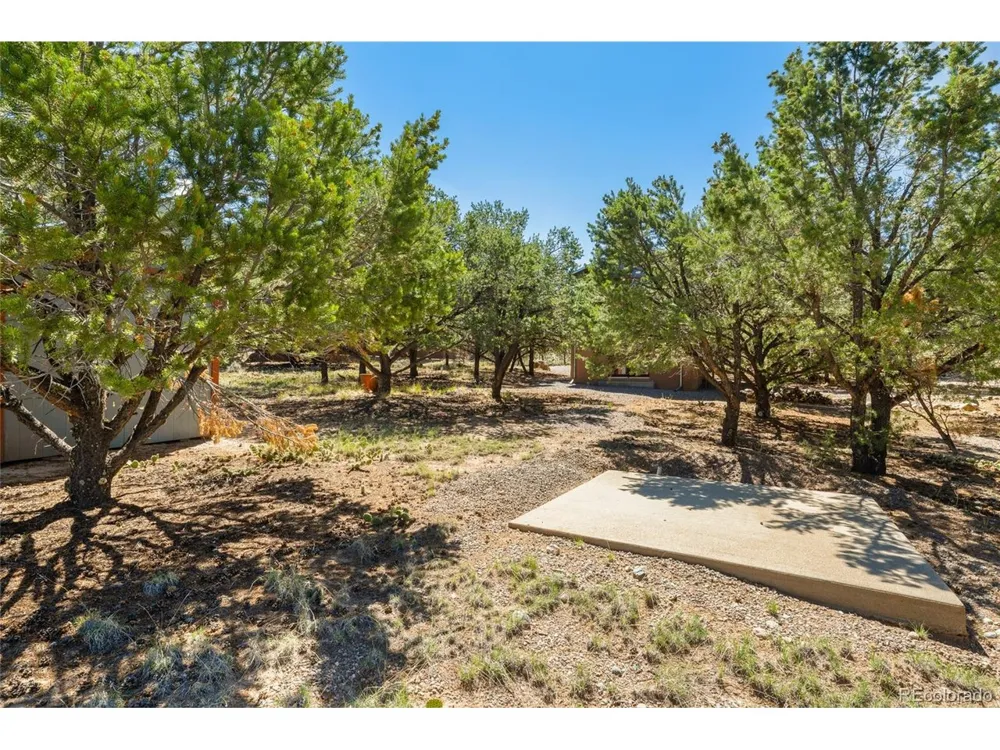 4288 Fallen Tree Crestone, CO 81131