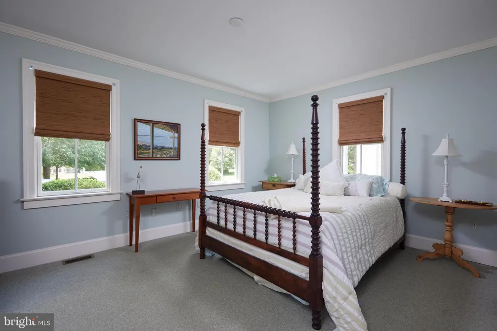 31720 AYRES DRIVE Trappe, MD 21673